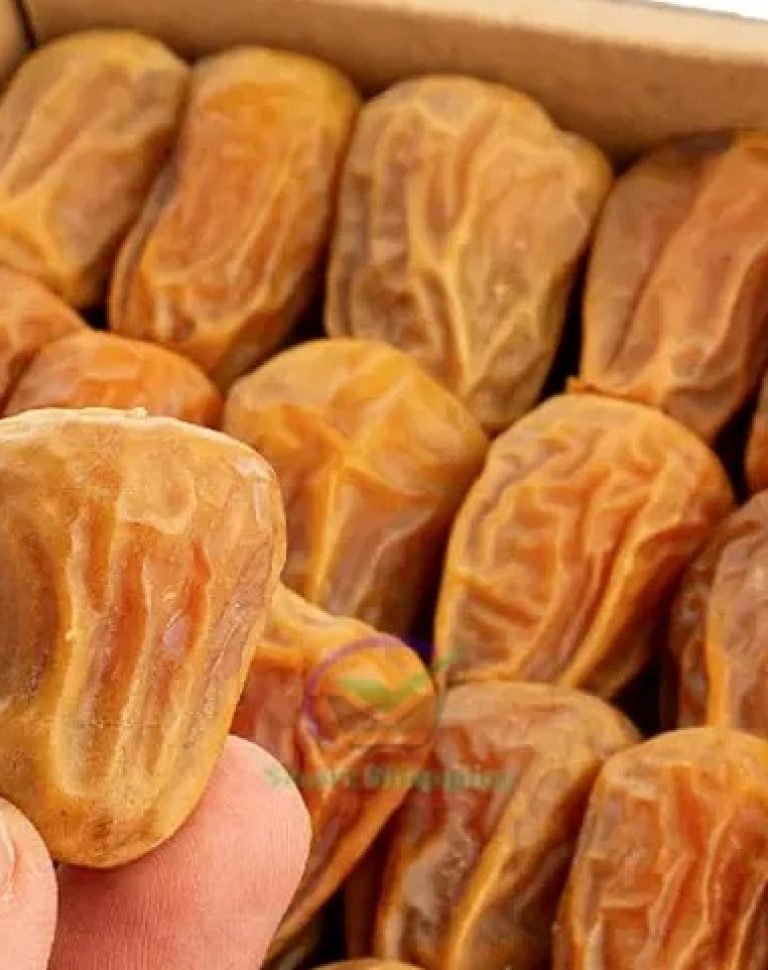 WhatsApp Image 2026-01-25 at 19.02.40